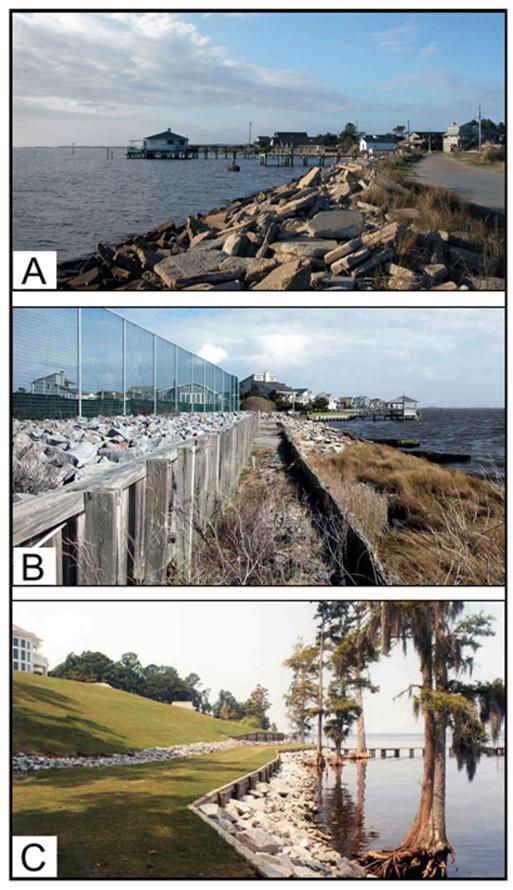 <img typeof="foaf:Image" src="http://statelibrarync.org/learnnc/sites/default/files/images/1_36.jpg" width="513" height="890" alt="Hardened structures along sediment-bank estuarine shorelines " title="Hardened structures along sediment-bank estuarine shorelines " /> <img typeof="foaf:Image" src="http://statelibrarync.org/learnnc/sites/default/files/images/1_36.jpg" width="513" height="890" alt="Hardened structures along sediment-bank estuarine shorelines " title="Hardened structures along sediment-bank estuarine shorelines " />