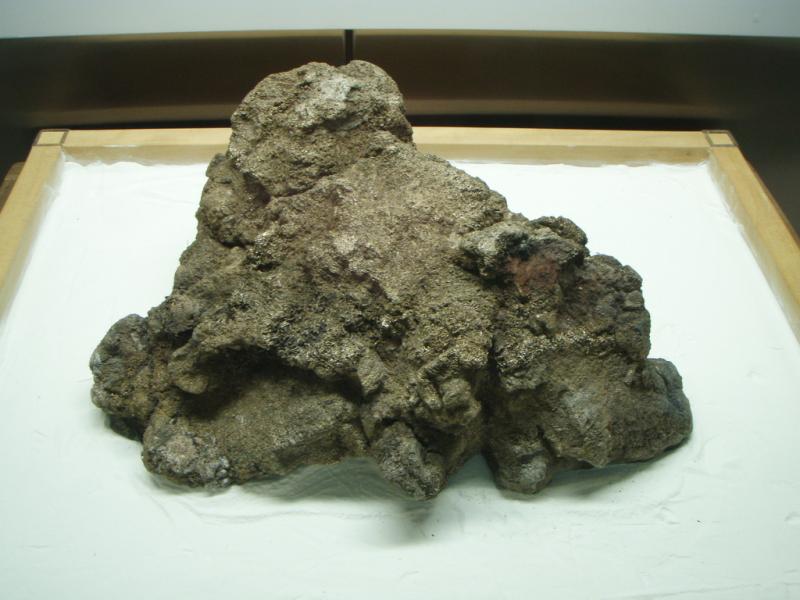 Gold nugget Gold nugget