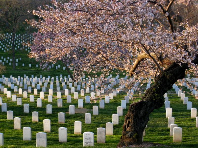 Arlington National Cemetary Arlington National Cemetary