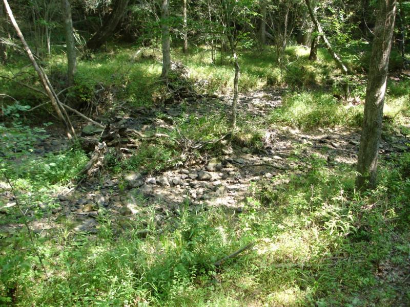 Reed Gold Mine Reed Gold Mine