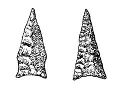 <img typeof="foaf:Image" src="http://statelibrarync.org/learnnc/sites/default/files/images/ArrowPt.jpg" width="242" height="189" alt="Arrow points" title="Arrow points" /> <img typeof="foaf:Image" src="http://statelibrarync.org/learnnc/sites/default/files/images/ArrowPt.jpg" width="242" height="189" alt="Arrow points" title="Arrow points" />