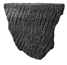 <img typeof="foaf:Image" src="http://statelibrarync.org/learnnc/sites/default/files/images/L207.jpg" width="219" height="212" alt="" /> <img typeof="foaf:Image" src="http://statelibrarync.org/learnnc/sites/default/files/images/L207.jpg" width="219" height="212" alt="" />