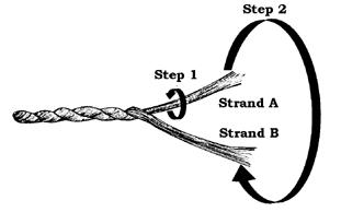 <img typeof="foaf:Image" src="http://statelibrarync.org/learnnc/sites/default/files/images/L207b.jpg" width="311" height="194" alt="Diagram of twisting fibers to make cordage" title="Diagram of twisting fibers to make cordage" /> <img typeof="foaf:Image" src="http://statelibrarync.org/learnnc/sites/default/files/images/L207b.jpg" width="311" height="194" alt="Diagram of twisting fibers to make cordage" title="Diagram of twisting fibers to make cordage" />