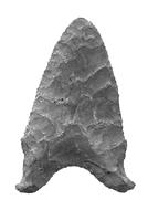 <img typeof="foaf:Image" src="http://statelibrarync.org/learnnc/sites/default/files/images/L301.jpg" width="134" height="190" alt="Hardaway spear point from Stanly County, NC" title="Hardaway spear point from Stanly County, NC" /> <img typeof="foaf:Image" src="http://statelibrarync.org/learnnc/sites/default/files/images/L301.jpg" width="134" height="190" alt="Hardaway spear point from Stanly County, NC" title="Hardaway spear point from Stanly County, NC" />