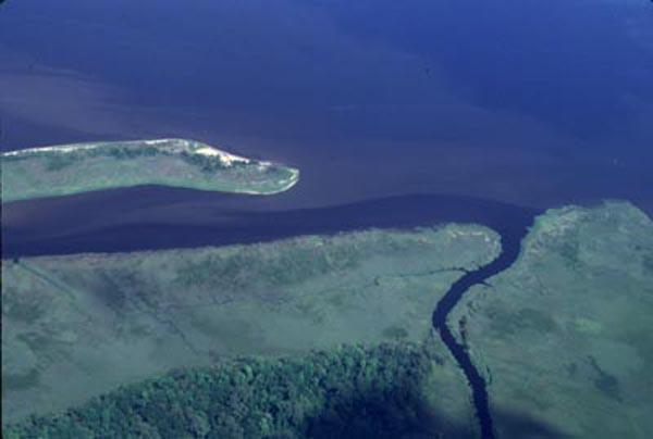 <img typeof="foaf:Image" src="http://statelibrarync.org/learnnc/sites/default/files/images/allen_creek.jpg" width="600" height="404" alt="Allen Creek input to the Cape Fear River" title="Allen Creek input to the Cape Fear River" /> <img typeof="foaf:Image" src="http://statelibrarync.org/learnnc/sites/default/files/images/allen_creek.jpg" width="600" height="404" alt="Allen Creek input to the Cape Fear River" title="Allen Creek input to the Cape Fear River" />