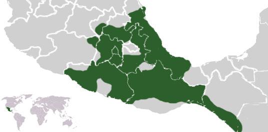 <img typeof="foaf:Image" src="http://statelibrarync.org/learnnc/sites/default/files/images/aztec_empire.jpg" width="536" height="265" alt="Aztec empire map" title="Aztec empire map" /> <img typeof="foaf:Image" src="http://statelibrarync.org/learnnc/sites/default/files/images/aztec_empire.jpg" width="536" height="265" alt="Aztec empire map" title="Aztec empire map" />