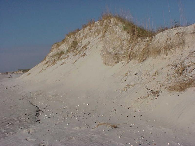 <img typeof="foaf:Image" src="http://statelibrarync.org/learnnc/sites/default/files/images/beachfront_dune.jpg" width="1024" height="768" alt="Beachfront dune" title="Beachfront dune" /> <img typeof="foaf:Image" src="http://statelibrarync.org/learnnc/sites/default/files/images/beachfront_dune.jpg" width="1024" height="768" alt="Beachfront dune" title="Beachfront dune" />