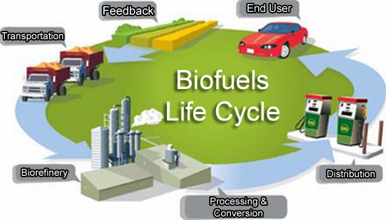 <img typeof="foaf:Image" src="http://statelibrarync.org/learnnc/sites/default/files/images/biofuels_lifecycle.png" width="550" height="314" alt="" /> <img typeof="foaf:Image" src="http://statelibrarync.org/learnnc/sites/default/files/images/biofuels_lifecycle.png" width="550" height="314" alt="" />
