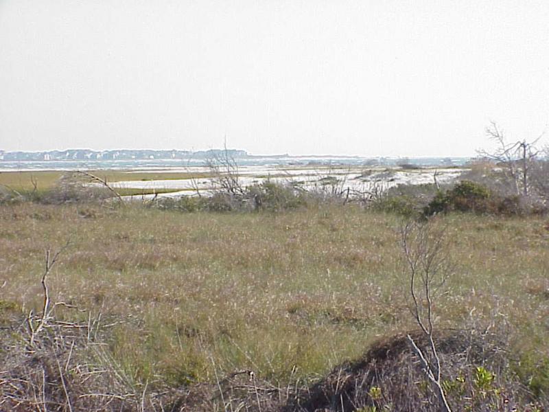 <img typeof="foaf:Image" src="http://statelibrarync.org/learnnc/sites/default/files/images/bogue_inlet.jpg" width="1024" height="768" alt="Bogue Inlet" title="Bogue Inlet" /> <img typeof="foaf:Image" src="http://statelibrarync.org/learnnc/sites/default/files/images/bogue_inlet.jpg" width="1024" height="768" alt="Bogue Inlet" title="Bogue Inlet" />