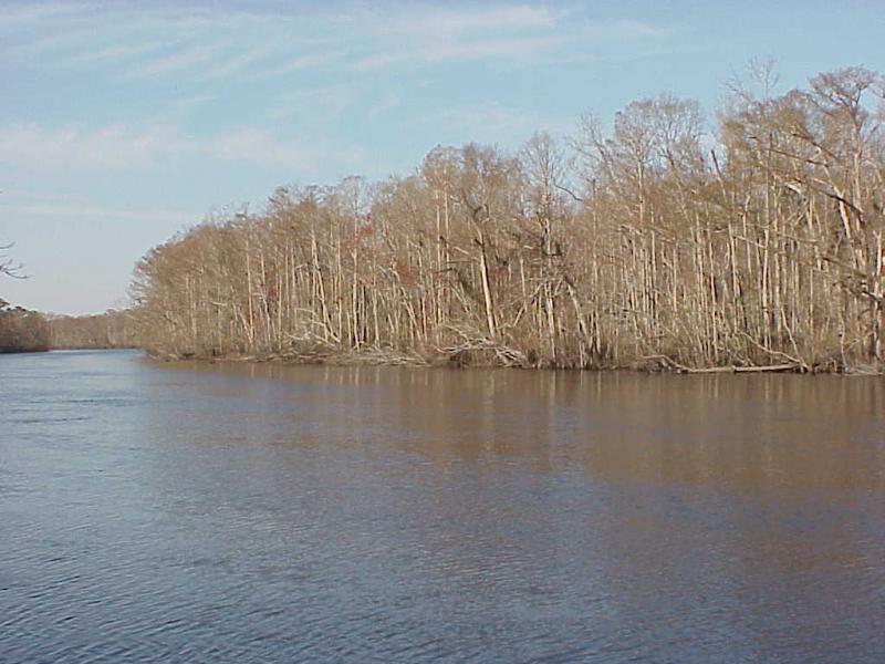 <img typeof="foaf:Image" src="http://statelibrarync.org/learnnc/sites/default/files/images/bottomland_forest.jpg" width="1024" height="768" alt="Coastal plain bottomland forest" title="Coastal plain bottomland forest" /> <img typeof="foaf:Image" src="http://statelibrarync.org/learnnc/sites/default/files/images/bottomland_forest.jpg" width="1024" height="768" alt="Coastal plain bottomland forest" title="Coastal plain bottomland forest" />