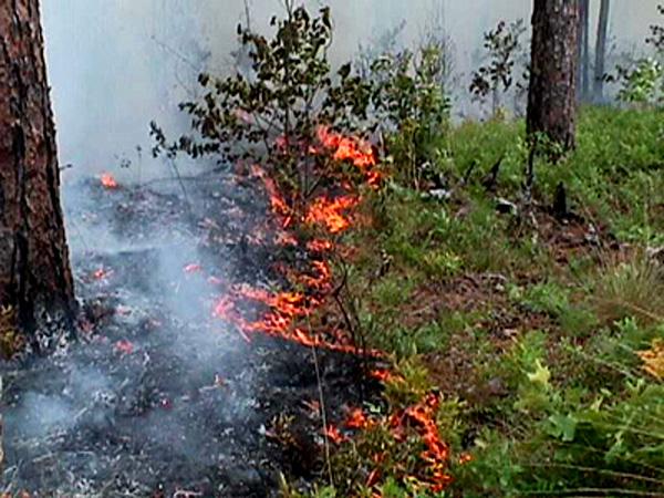 <img typeof="foaf:Image" src="http://statelibrarync.org/learnnc/sites/default/files/images/brush_fire.jpg" width="600" height="450" alt="Fire" title="Fire" /> <img typeof="foaf:Image" src="http://statelibrarync.org/learnnc/sites/default/files/images/brush_fire.jpg" width="600" height="450" alt="Fire" title="Fire" />