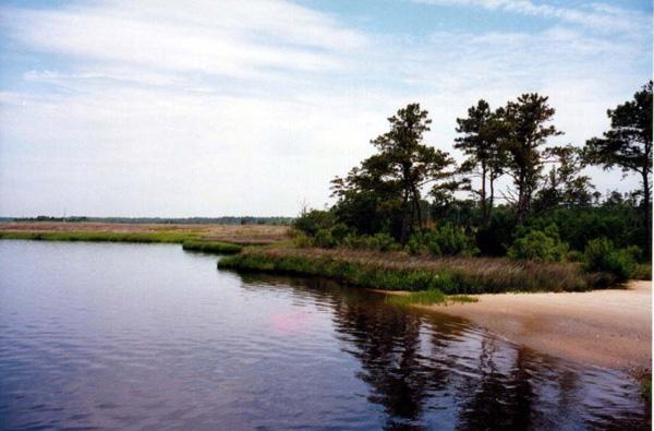 <img typeof="foaf:Image" src="http://statelibrarync.org/learnnc/sites/default/files/images/cedecfe10.jpg" width="600" height="395" alt="Federal Point basin" title="Federal Point basin" /> <img typeof="foaf:Image" src="http://statelibrarync.org/learnnc/sites/default/files/images/cedecfe10.jpg" width="600" height="395" alt="Federal Point basin" title="Federal Point basin" />