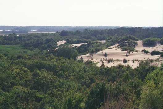 <img typeof="foaf:Image" src="http://statelibrarync.org/learnnc/sites/default/files/images/cedenhin06.jpg" width="528" height="355" alt="Sand migration-Run Hill Dune into neighboring Nags Head Forest" title="Sand migration-Run Hill Dune into neighboring Nags Head Forest" /> <img typeof="foaf:Image" src="http://statelibrarync.org/learnnc/sites/default/files/images/cedenhin06.jpg" width="528" height="355" alt="Sand migration-Run Hill Dune into neighboring Nags Head Forest" title="Sand migration-Run Hill Dune into neighboring Nags Head Forest" />