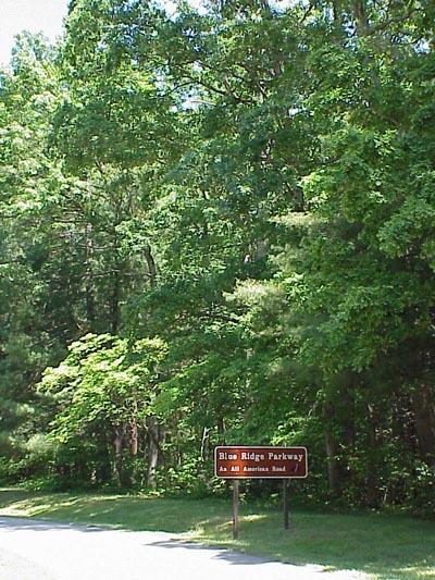 <img typeof="foaf:Image" src="http://statelibrarync.org/learnnc/sites/default/files/images/chestnut_oak2.jpg" width="400" height="533" alt="Chestnut Oak-Eastern Deciduous Forest" title="Chestnut Oak-Eastern Deciduous Forest" /> <img typeof="foaf:Image" src="http://statelibrarync.org/learnnc/sites/default/files/images/chestnut_oak2.jpg" width="400" height="533" alt="Chestnut Oak-Eastern Deciduous Forest" title="Chestnut Oak-Eastern Deciduous Forest" />