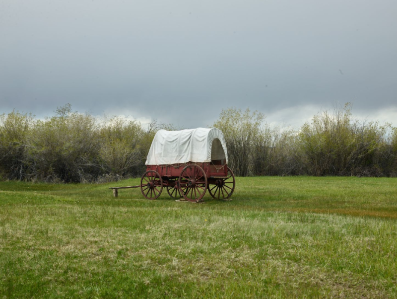 Covered wagon at Fort Bridger Covered wagon in a field. It is a cloudy day and there are trees in the background. The wagon canopy is white and the carriage is brown.