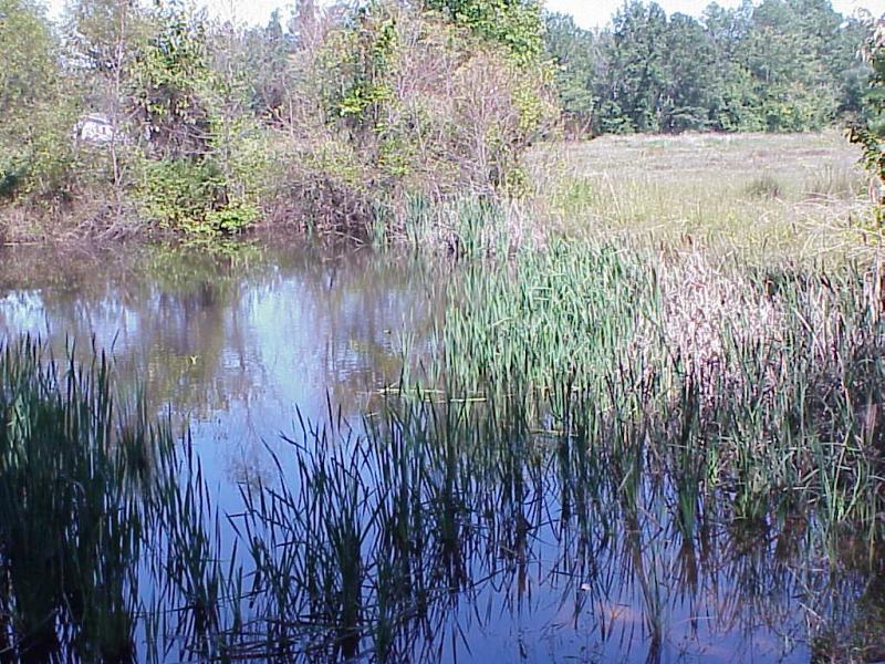 <img typeof="foaf:Image" src="http://statelibrarync.org/learnnc/sites/default/files/images/clay_pond.jpg" width="1024" height="768" alt="Clay to pot transformation" title="Clay to pot transformation" /> <img typeof="foaf:Image" src="http://statelibrarync.org/learnnc/sites/default/files/images/clay_pond.jpg" width="1024" height="768" alt="Clay to pot transformation" title="Clay to pot transformation" />
