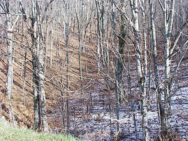 <img typeof="foaf:Image" src="http://statelibrarync.org/learnnc/sites/default/files/images/climate_diff.jpg" width="1024" height="768" alt="Climate differences on different slopes" title="Climate differences on different slopes" /> <img typeof="foaf:Image" src="http://statelibrarync.org/learnnc/sites/default/files/images/climate_diff.jpg" width="1024" height="768" alt="Climate differences on different slopes" title="Climate differences on different slopes" />