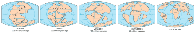 <img typeof="foaf:Image" src="http://statelibrarync.org/learnnc/sites/default/files/images/continents_map.png" width="1472" height="256" alt="Map of the continents through geologic time" title="Map of the continents through geologic time" /> <img typeof="foaf:Image" src="http://statelibrarync.org/learnnc/sites/default/files/images/continents_map.png" width="1472" height="256" alt="Map of the continents through geologic time" title="Map of the continents through geologic time" />