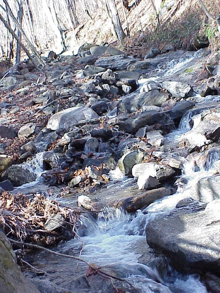 <img typeof="foaf:Image" src="http://statelibrarync.org/learnnc/sites/default/files/images/creek_elevated_roan.jpg" width="768" height="1024" alt="Creek at middle elevations-Roan Highlands" title="Creek at middle elevations-Roan Highlands" /> <img typeof="foaf:Image" src="http://statelibrarync.org/learnnc/sites/default/files/images/creek_elevated_roan.jpg" width="768" height="1024" alt="Creek at middle elevations-Roan Highlands" title="Creek at middle elevations-Roan Highlands" />