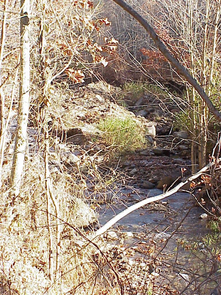 <img typeof="foaf:Image" src="http://statelibrarync.org/learnnc/sites/default/files/images/creek_roan_highlands.jpg" width="768" height="1024" alt="Creek at base of Roan Highlands" title="Creek at base of Roan Highlands" /> <img typeof="foaf:Image" src="http://statelibrarync.org/learnnc/sites/default/files/images/creek_roan_highlands.jpg" width="768" height="1024" alt="Creek at base of Roan Highlands" title="Creek at base of Roan Highlands" />