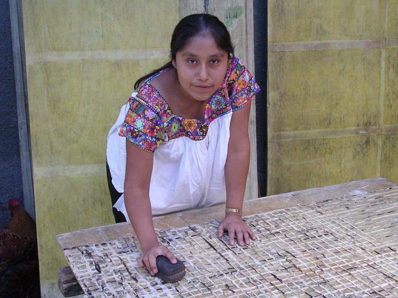 <img typeof="foaf:Image" src="http://statelibrarync.org/learnnc/sites/default/files/images/daughter2.jpg" width="1024" height="768" alt="Girl making papel amaté" title="Girl making papel amaté" /> <img typeof="foaf:Image" src="http://statelibrarync.org/learnnc/sites/default/files/images/daughter2.jpg" width="1024" height="768" alt="Girl making papel amaté" title="Girl making papel amaté" />