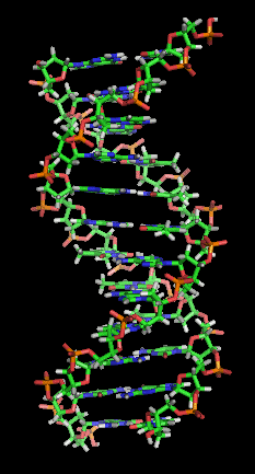 DNA Section DNA Section