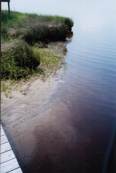 <img typeof="foaf:Image" src="http://statelibrarync.org/learnnc/sites/default/files/images/dock.jpg" width="400" height="593" alt="View from a dock" title="View from a dock" /> <img typeof="foaf:Image" src="http://statelibrarync.org/learnnc/sites/default/files/images/dock.jpg" width="400" height="593" alt="View from a dock" title="View from a dock" />