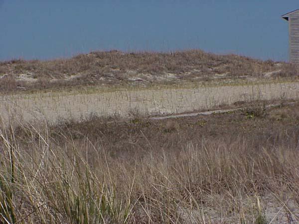 <img typeof="foaf:Image" src="http://statelibrarync.org/learnnc/sites/default/files/images/dune_building.jpg" width="600" height="450" alt="Dune building/stabilization project-Bogue Banks" title="Dune building/stabilization project-Bogue Banks" /> <img typeof="foaf:Image" src="http://statelibrarync.org/learnnc/sites/default/files/images/dune_building.jpg" width="600" height="450" alt="Dune building/stabilization project-Bogue Banks" title="Dune building/stabilization project-Bogue Banks" />