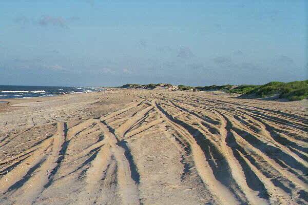 <img typeof="foaf:Image" src="http://statelibrarync.org/learnnc/sites/default/files/images/dune_stability.jpg" width="600" height="400" alt="Threatened dune stability" title="Threatened dune stability" /> <img typeof="foaf:Image" src="http://statelibrarync.org/learnnc/sites/default/files/images/dune_stability.jpg" width="600" height="400" alt="Threatened dune stability" title="Threatened dune stability" />