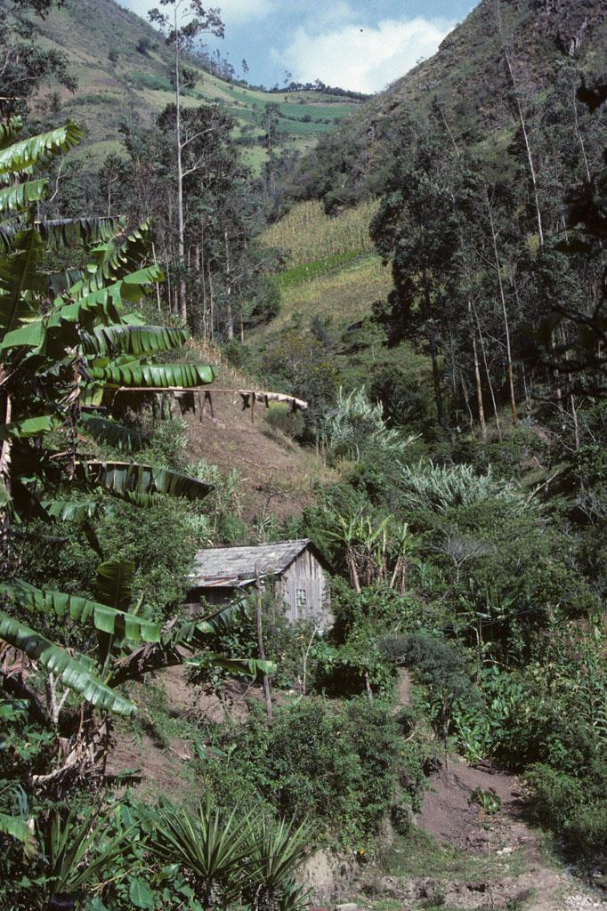<img typeof="foaf:Image" src="http://statelibrarync.org/learnnc/sites/default/files/images/ecuador_021.jpg" width="682" height="1024" alt="A hut in the hills above Banos" title="A hut in the hills above Banos" /> <img typeof="foaf:Image" src="http://statelibrarync.org/learnnc/sites/default/files/images/ecuador_021.jpg" width="682" height="1024" alt="A hut in the hills above Banos" title="A hut in the hills above Banos" />