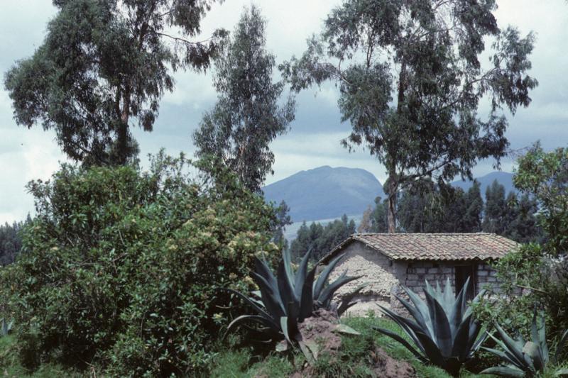 <img typeof="foaf:Image" src="http://statelibrarync.org/learnnc/sites/default/files/images/ecuador_039.jpg" width="1024" height="682" alt="A tile-roofed stone hut amidst verdant vegetation" title="A tile-roofed stone hut amidst verdant vegetation" /> <img typeof="foaf:Image" src="http://statelibrarync.org/learnnc/sites/default/files/images/ecuador_039.jpg" width="1024" height="682" alt="A tile-roofed stone hut amidst verdant vegetation" title="A tile-roofed stone hut amidst verdant vegetation" />