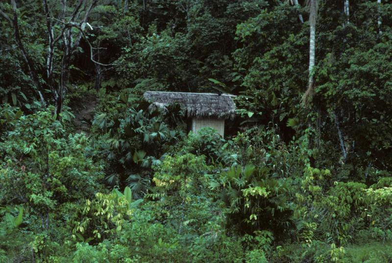 <img typeof="foaf:Image" src="http://statelibrarync.org/learnnc/sites/default/files/images/ecuador_186.jpg" width="1024" height="686" /> <img typeof="foaf:Image" src="http://statelibrarync.org/learnnc/sites/default/files/images/ecuador_186.jpg" width="1024" height="686" />