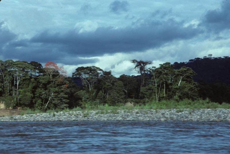 <img typeof="foaf:Image" src="http://statelibrarync.org/learnnc/sites/default/files/images/ecuador_198.jpg" width="1024" height="686" /> <img typeof="foaf:Image" src="http://statelibrarync.org/learnnc/sites/default/files/images/ecuador_198.jpg" width="1024" height="686" />