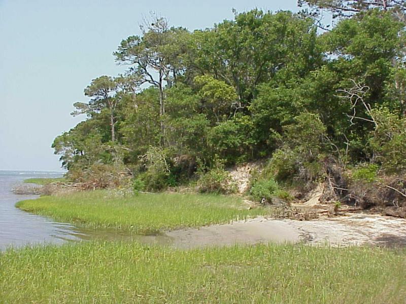 <img typeof="foaf:Image" src="http://statelibrarync.org/learnnc/sites/default/files/images/erosion_waves.jpg" width="1024" height="768" alt="Erosion and waves" title="Erosion and waves" /> <img typeof="foaf:Image" src="http://statelibrarync.org/learnnc/sites/default/files/images/erosion_waves.jpg" width="1024" height="768" alt="Erosion and waves" title="Erosion and waves" />