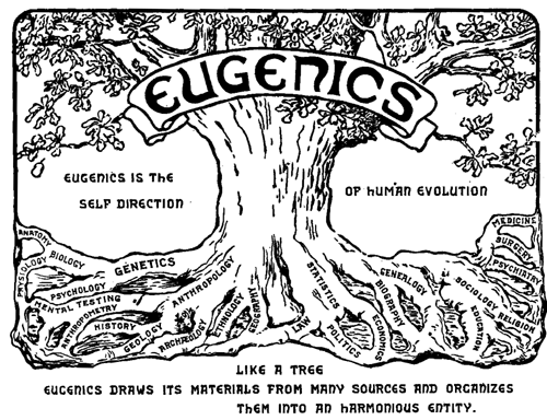 Logo of the Second International Congress of Eugenics, 1921 Logo of the Second International Congress of Eugenics, 1921