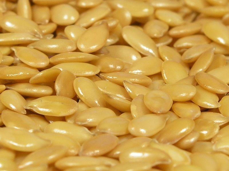 <img typeof="foaf:Image" src="http://statelibrarync.org/learnnc/sites/default/files/images/flaxseed.jpg" width="800" height="600" alt="Flax seed" title="Flax seed" /> <img typeof="foaf:Image" src="http://statelibrarync.org/learnnc/sites/default/files/images/flaxseed.jpg" width="800" height="600" alt="Flax seed" title="Flax seed" />