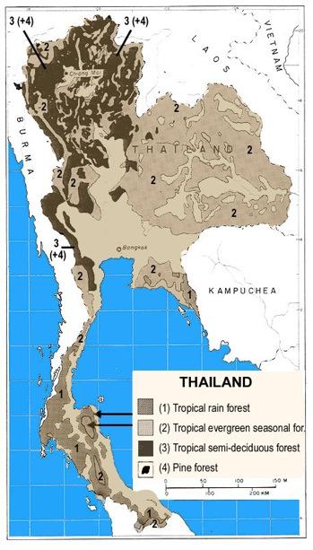 <img typeof="foaf:Image" src="http://statelibrarync.org/learnnc/sites/default/files/images/forest_growth_thailand.jpg" width="349" height="613" alt="Forest growth in Thailand" title="Forest growth in Thailand" /> <img typeof="foaf:Image" src="http://statelibrarync.org/learnnc/sites/default/files/images/forest_growth_thailand.jpg" width="349" height="613" alt="Forest growth in Thailand" title="Forest growth in Thailand" />