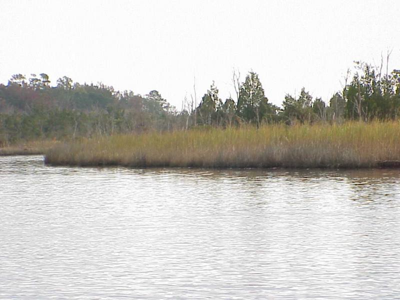 <img typeof="foaf:Image" src="http://statelibrarync.org/learnnc/sites/default/files/images/freshwater_marsh2.jpg" width="1024" height="768" alt="Freshwater marsh and pioneer forest trees; fresh/salt transition" /> <img typeof="foaf:Image" src="http://statelibrarync.org/learnnc/sites/default/files/images/freshwater_marsh2.jpg" width="1024" height="768" alt="Freshwater marsh and pioneer forest trees; fresh/salt transition" />