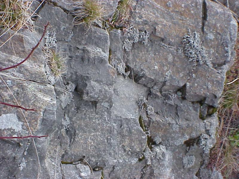 <img typeof="foaf:Image" src="http://statelibrarync.org/learnnc/sites/default/files/images/gneiss_roan.jpg" width="1024" height="768" alt="Gneiss from Roan Highlands" title="Gneiss from Roan Highlands" /> <img typeof="foaf:Image" src="http://statelibrarync.org/learnnc/sites/default/files/images/gneiss_roan.jpg" width="1024" height="768" alt="Gneiss from Roan Highlands" title="Gneiss from Roan Highlands" />