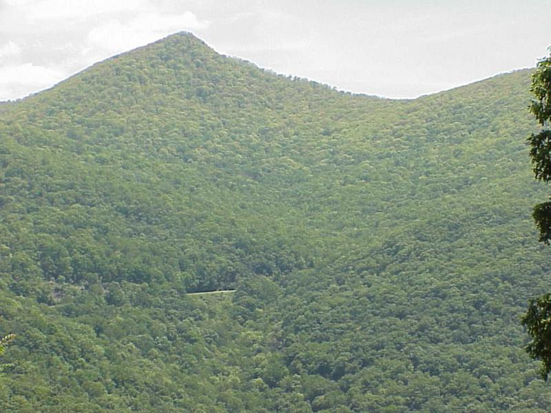 <img typeof="foaf:Image" src="http://statelibrarync.org/learnnc/sites/default/files/images/hardwoods2.jpg" width="1024" height="768" alt="Northern Hardwood Forest Transition" title="Northern Hardwood Forest Transition" /> <img typeof="foaf:Image" src="http://statelibrarync.org/learnnc/sites/default/files/images/hardwoods2.jpg" width="1024" height="768" alt="Northern Hardwood Forest Transition" title="Northern Hardwood Forest Transition" />