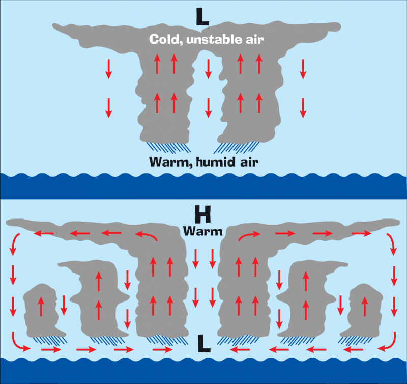 <img typeof="foaf:Image" src="http://statelibrarync.org/learnnc/sites/default/files/images/hurricane_formation.png" width="1201" height="1132" alt="Hurricane formation" title="Hurricane formation" /> <img typeof="foaf:Image" src="http://statelibrarync.org/learnnc/sites/default/files/images/hurricane_formation.png" width="1201" height="1132" alt="Hurricane formation" title="Hurricane formation" />