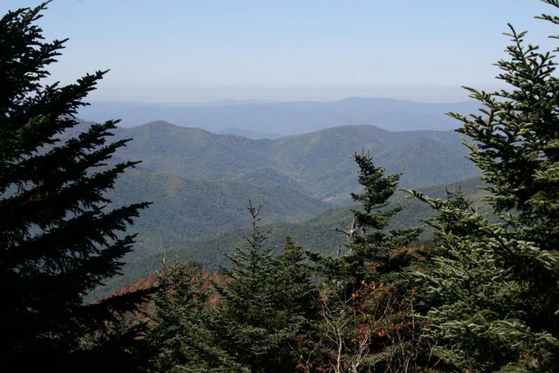 <img typeof="foaf:Image" src="http://statelibrarync.org/learnnc/sites/default/files/images/img_1695.jpg" width="1024" height="683" alt="Fraser firs at Mount Mitchell State Park" title="Fraser firs at Mount Mitchell State Park" /> <img typeof="foaf:Image" src="http://statelibrarync.org/learnnc/sites/default/files/images/img_1695.jpg" width="1024" height="683" alt="Fraser firs at Mount Mitchell State Park" title="Fraser firs at Mount Mitchell State Park" />