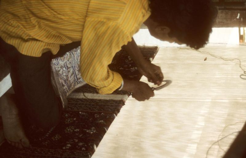 <img typeof="foaf:Image" src="http://statelibrarync.org/learnnc/sites/default/files/images/india_139.jpg" width="1024" height="661" alt="A carpet weaver in Agra, India" title="A carpet weaver in Agra, India" /> <img typeof="foaf:Image" src="http://statelibrarync.org/learnnc/sites/default/files/images/india_139.jpg" width="1024" height="661" alt="A carpet weaver in Agra, India" title="A carpet weaver in Agra, India" />