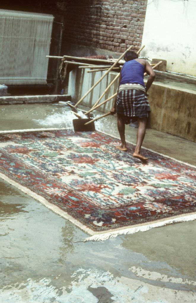 <img typeof="foaf:Image" src="http://statelibrarync.org/learnnc/sites/default/files/images/india_143.jpg" width="661" height="1024" alt="A man washing carpet, Agra, India" title="A man washing carpet, Agra, India" /> <img typeof="foaf:Image" src="http://statelibrarync.org/learnnc/sites/default/files/images/india_143.jpg" width="661" height="1024" alt="A man washing carpet, Agra, India" title="A man washing carpet, Agra, India" />