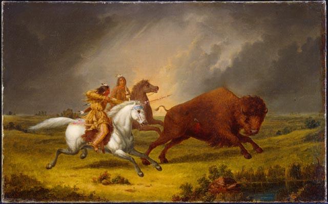 <img typeof="foaf:Image" src="http://statelibrarync.org/learnnc/sites/default/files/images/kane_assiniboine_hunting_buffalo.jpeg" width="640" height="399" alt="Assiniboine hunting buffalo" title="Assiniboine hunting buffalo" /> <img typeof="foaf:Image" src="http://statelibrarync.org/learnnc/sites/default/files/images/kane_assiniboine_hunting_buffalo.jpeg" width="640" height="399" alt="Assiniboine hunting buffalo" title="Assiniboine hunting buffalo" />