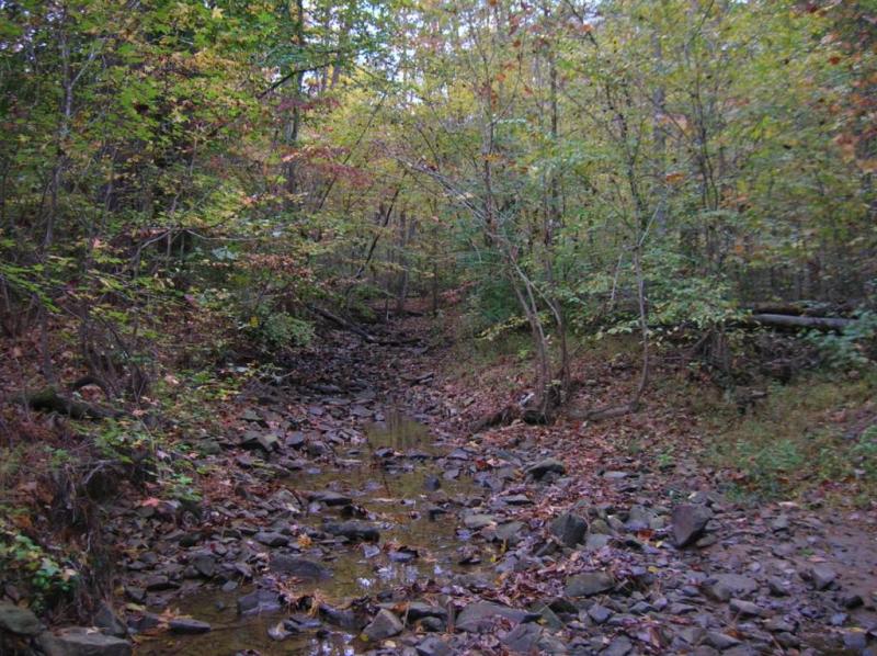 <img typeof="foaf:Image" src="http://statelibrarync.org/learnnc/sites/default/files/images/lower_mudcreek.jpg" width="1024" height="766" alt="Lower Mud Creek" title="Lower Mud Creek" /> <img typeof="foaf:Image" src="http://statelibrarync.org/learnnc/sites/default/files/images/lower_mudcreek.jpg" width="1024" height="766" alt="Lower Mud Creek" title="Lower Mud Creek" />