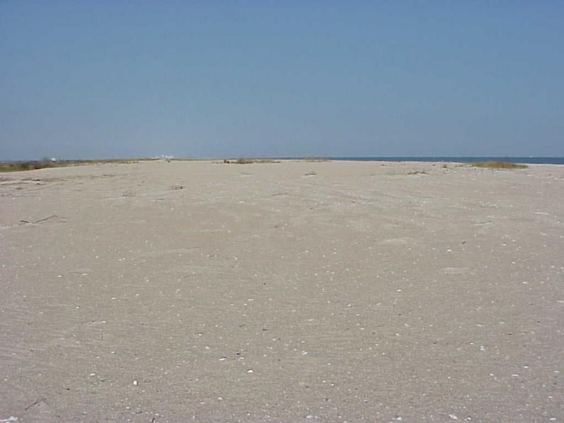 <img typeof="foaf:Image" src="http://statelibrarync.org/learnnc/sites/default/files/images/masonboro_1.jpg" width="1024" height="768" alt="Masonboro Island after hurricane (beach/berm)" title="Masonboro Island after hurricane (beach/berm)" /> <img typeof="foaf:Image" src="http://statelibrarync.org/learnnc/sites/default/files/images/masonboro_1.jpg" width="1024" height="768" alt="Masonboro Island after hurricane (beach/berm)" title="Masonboro Island after hurricane (beach/berm)" />