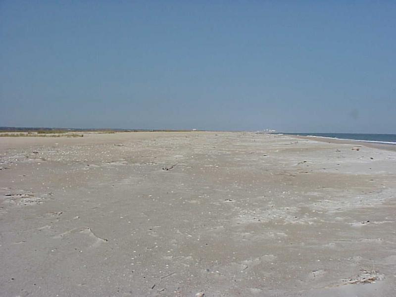 <img typeof="foaf:Image" src="http://statelibrarync.org/learnnc/sites/default/files/images/masonboro_isld.jpg" width="1024" height="768" alt="Masonboro Island" title="Masonboro Island" /> <img typeof="foaf:Image" src="http://statelibrarync.org/learnnc/sites/default/files/images/masonboro_isld.jpg" width="1024" height="768" alt="Masonboro Island" title="Masonboro Island" />