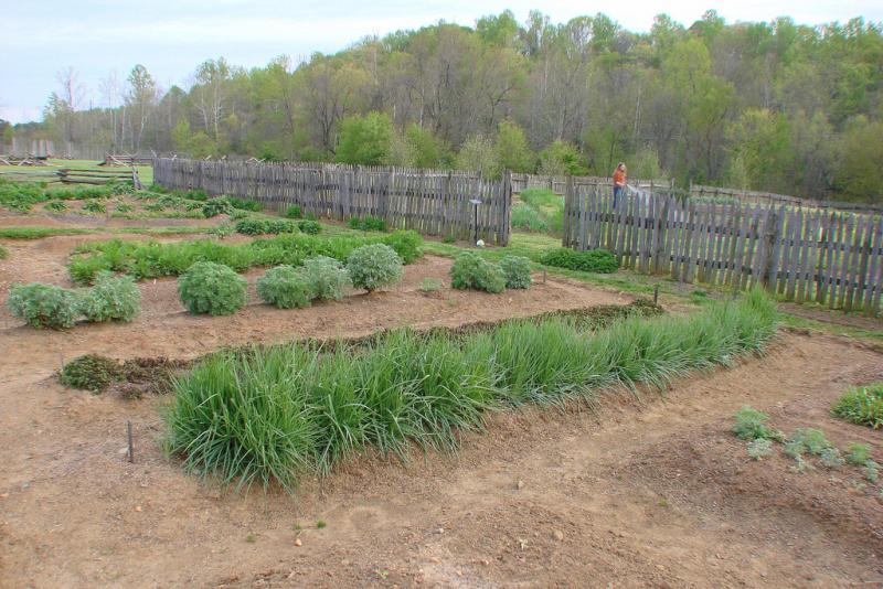 <img typeof="foaf:Image" src="http://statelibrarync.org/learnnc/sites/default/files/images/moravian_garden.jpg" width="1024" height="683" alt="Moravian garden" title="Moravian garden" /> <img typeof="foaf:Image" src="http://statelibrarync.org/learnnc/sites/default/files/images/moravian_garden.jpg" width="1024" height="683" alt="Moravian garden" title="Moravian garden" />