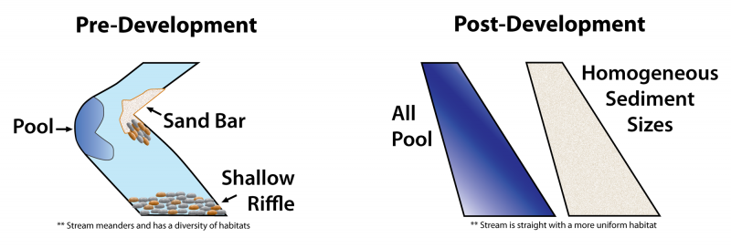 <img typeof="foaf:Image" src="http://statelibrarync.org/learnnc/sites/default/files/images/mud3_2000.png" width="2000" height="679" alt="Changes in stream habitats after development" title="Changes in stream habitats after development" /> <img typeof="foaf:Image" src="http://statelibrarync.org/learnnc/sites/default/files/images/mud3_2000.png" width="2000" height="679" alt="Changes in stream habitats after development" title="Changes in stream habitats after development" />